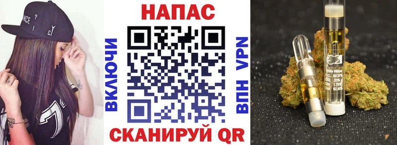 Канабис сатива  Чкаловск 